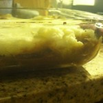 Shepherd's Pie