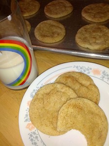 Snickerdoodles-a summer favorite.