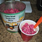 add freeze dried raspberries