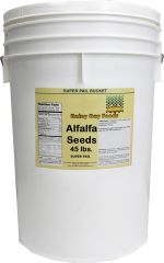 Alfalfa sprout seed in super pail