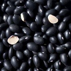 Natural Black Turtle Beans - O097- 25 lb. bag