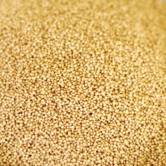 Natural Amaranth in #10 can 88 oz.