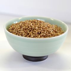 Natural Hard Red Wheat - Q051 - 1.5 lb. mylar bag