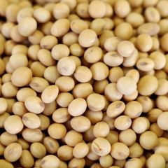 Rainy Day Foods natural soy beans