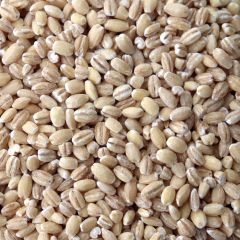 Pearl Barley - E035 - 36 lb. 5 gal SP