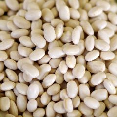 Small White Beans - A137 - 50 lb. bag