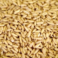 Natural Oat Groats, 25 lb. bag