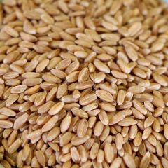 Natural Spelt, Case(6) #10 cans