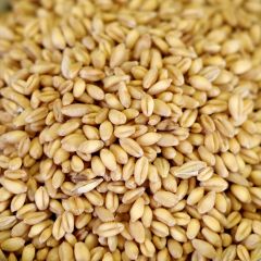 Soft Wheat, 50 lb. bag