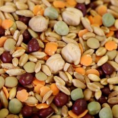 Sprouting Mix, 5 lb. mylar bag