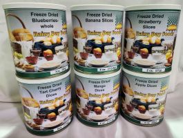 Rainy Day Foods Freeze Dried Fruit Pak