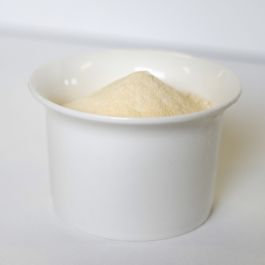 Rainy Day Foods - Honey Powder - 5 lb. mylar bag