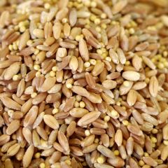 7 Grain Mix, 25 lb. bag