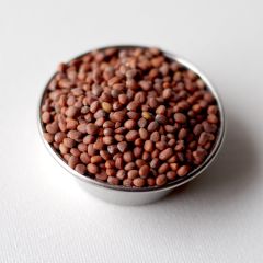 Radish Seed, 1.5 lb. mylar bag