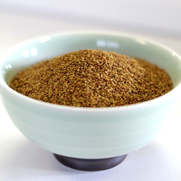 Alfalfa Seed, 25 lb. bag