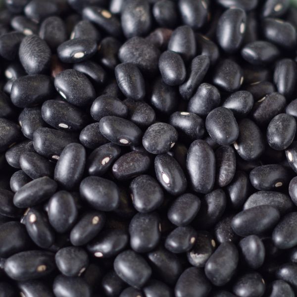 Rainy Day Foods - Black Turtle Beans - case #10 cans