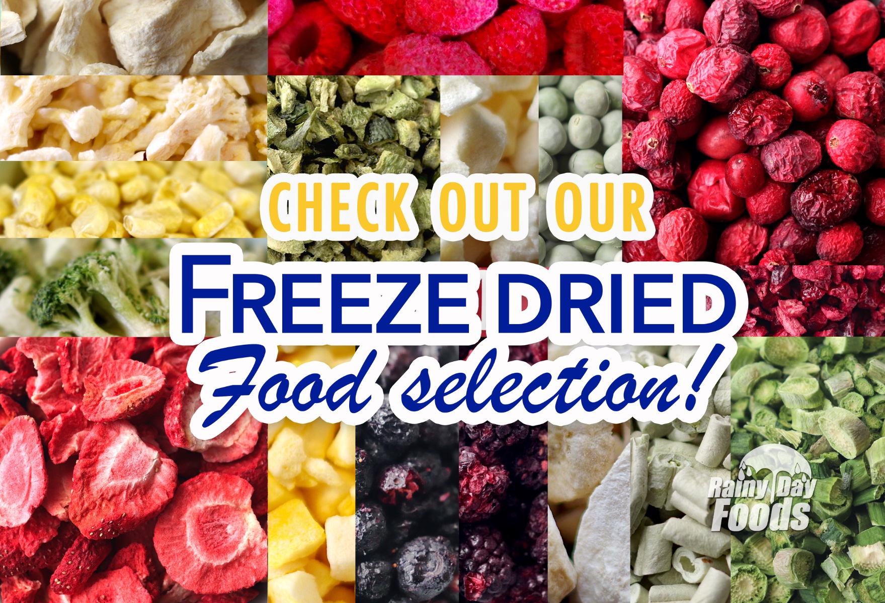 https://rainydayfoods.com/catalogsearch/result/?q=+freeze+dried