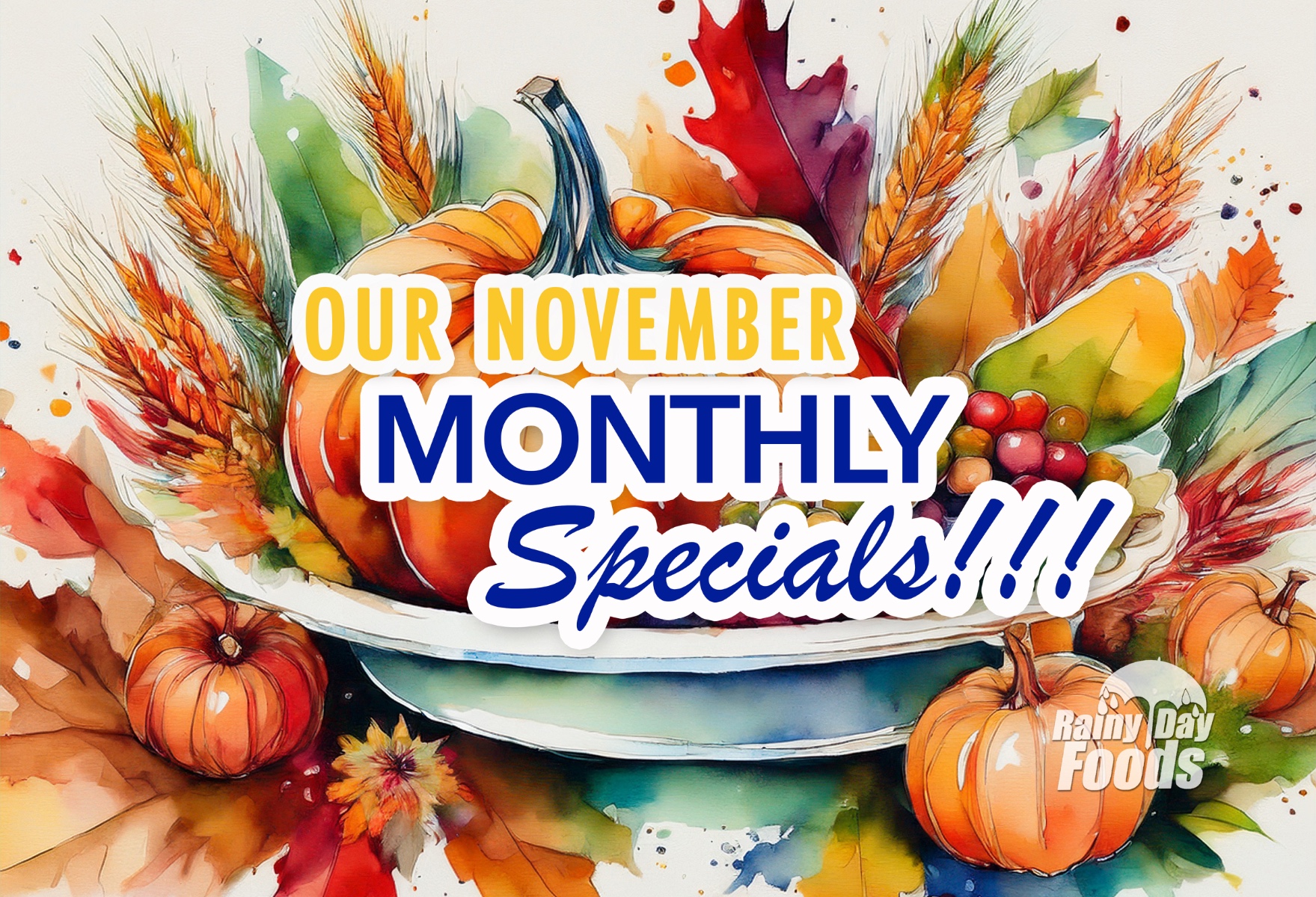 https://rainydayfoods.com/monthly-specials.html