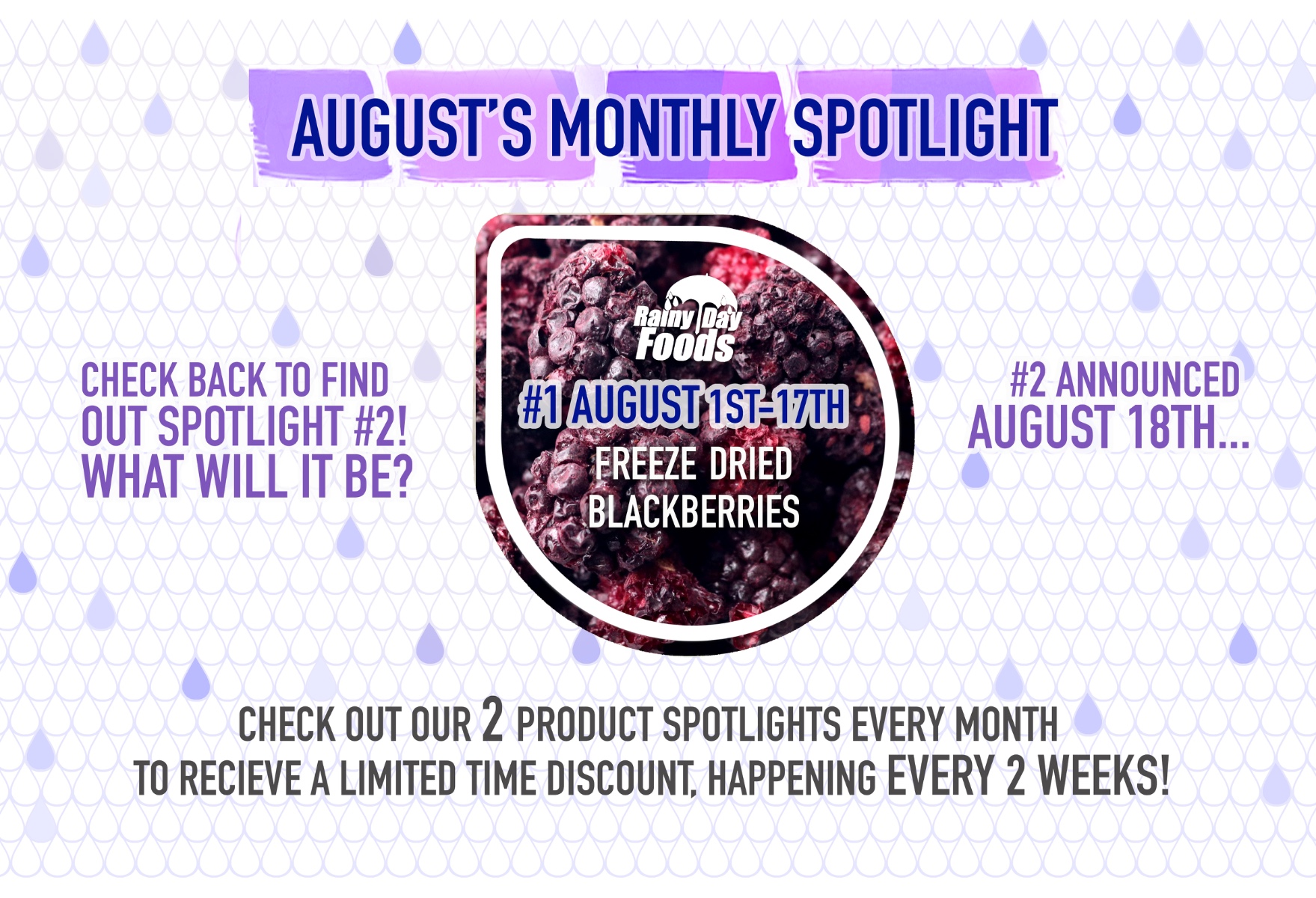 https://rainydayfoods.com/product-spotlight.html