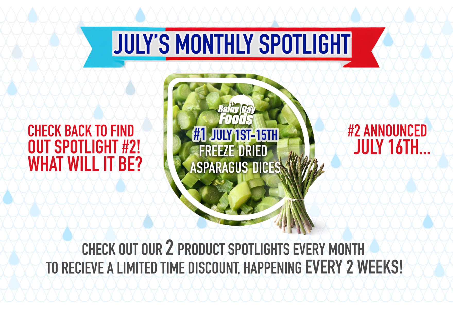 https://rainydayfoods.com/product-spotlight.html
