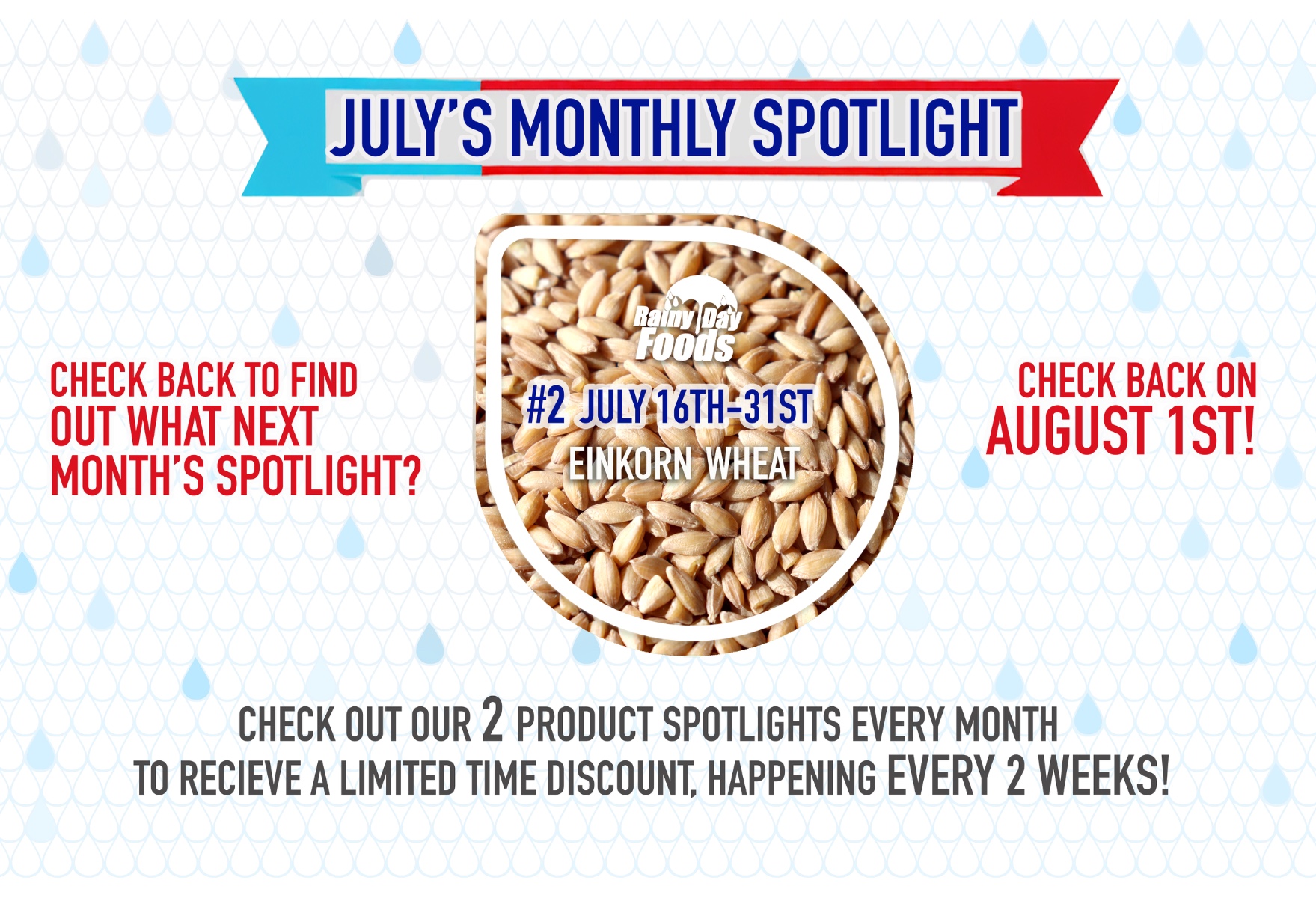 https://rainydayfoods.com/product-spotlight.html