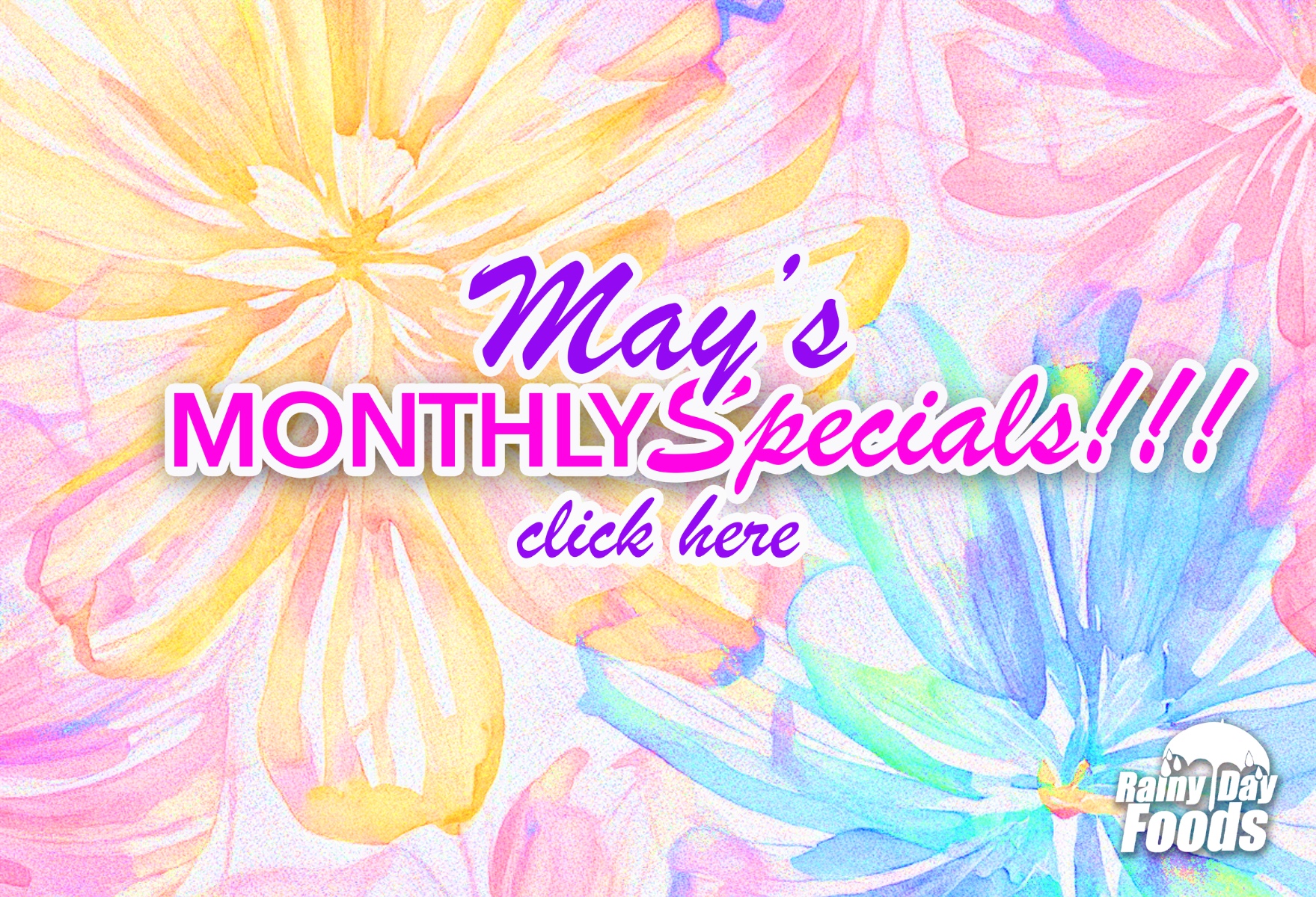 https://rainydayfoods.com/monthly-specials.html