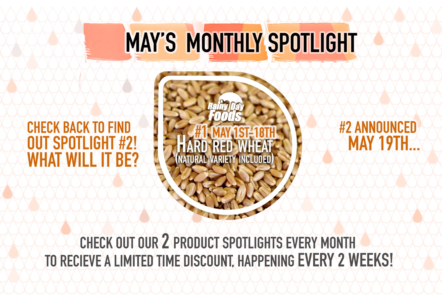 https://rainydayfoods.com/product-spotlight.html