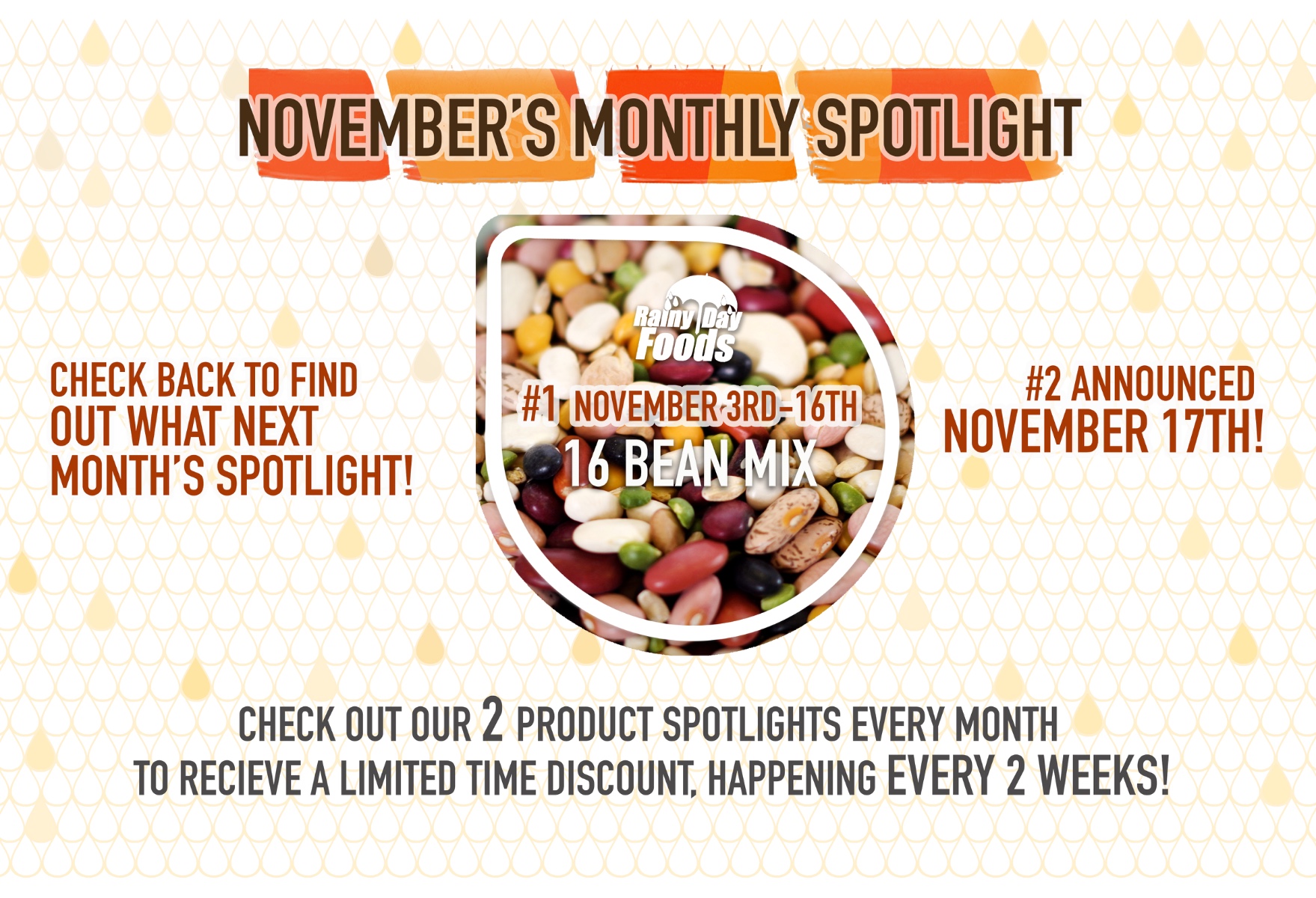 https://rainydayfoods.com/product-spotlight.html