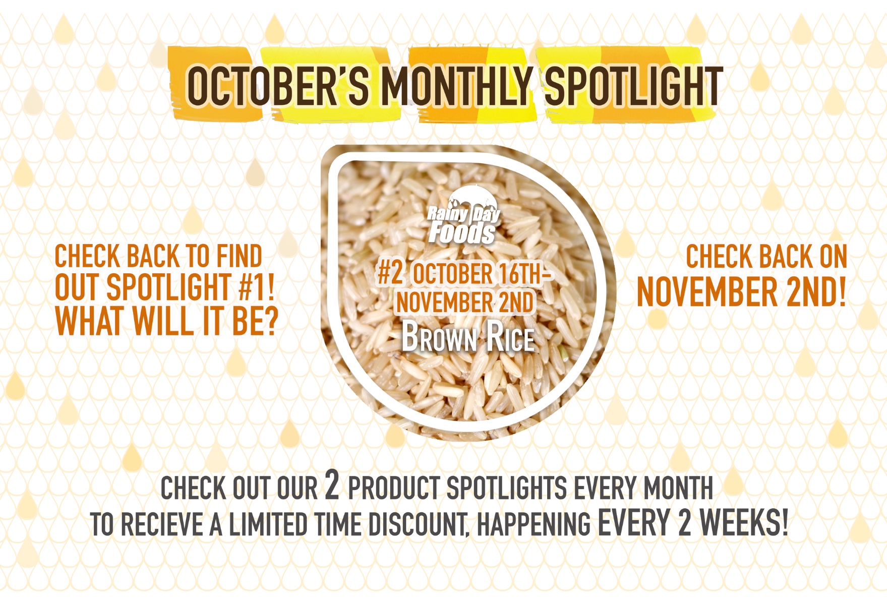 https://rainydayfoods.com/product-spotlight.html