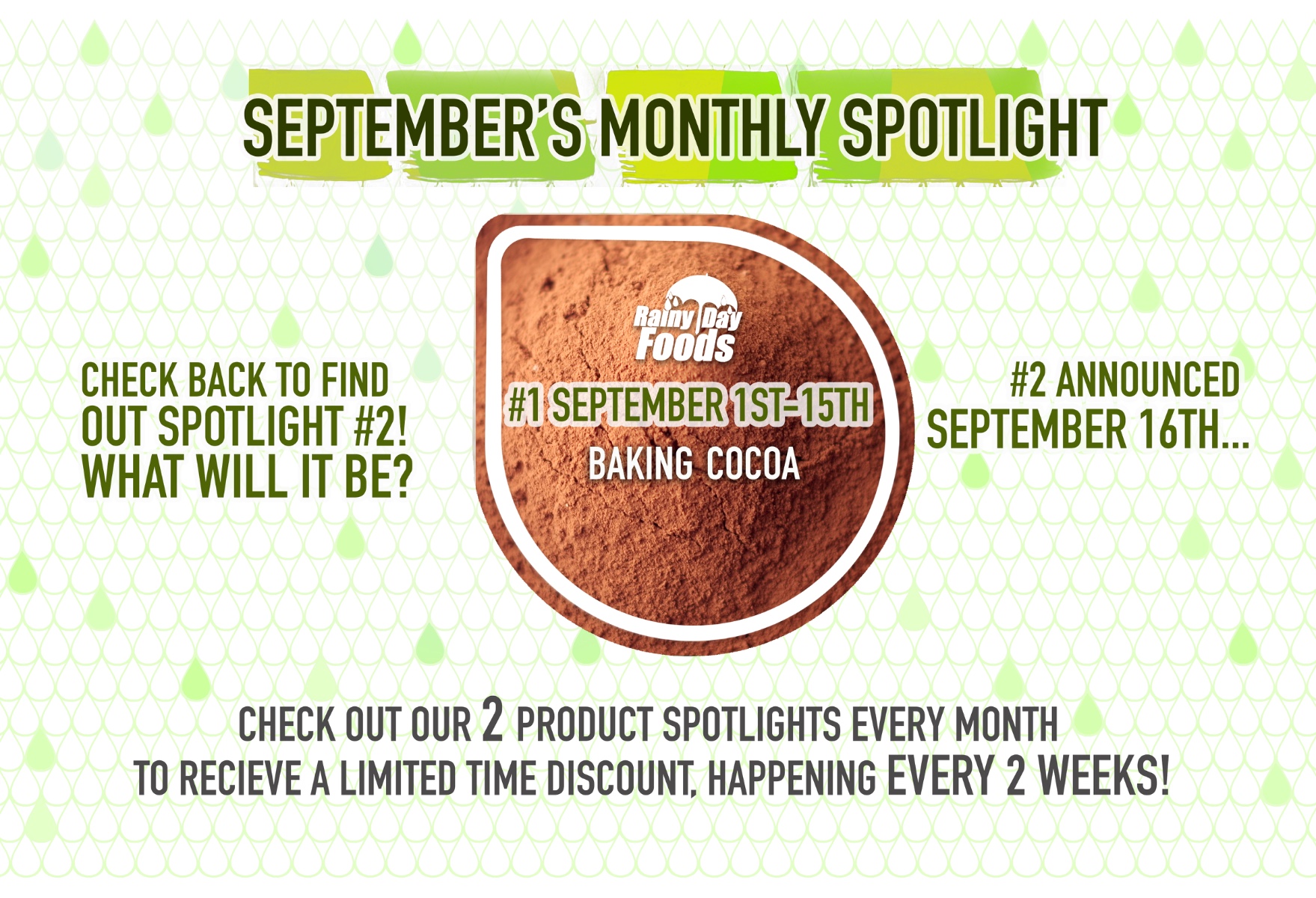 https://rainydayfoods.com/product-spotlight.html