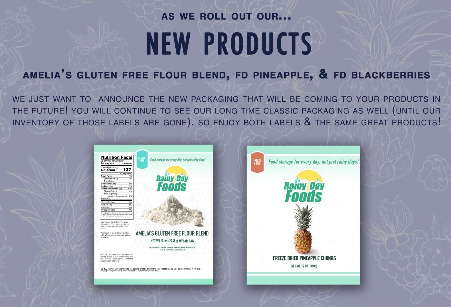 https://rainydayfoods.com/new-products.html