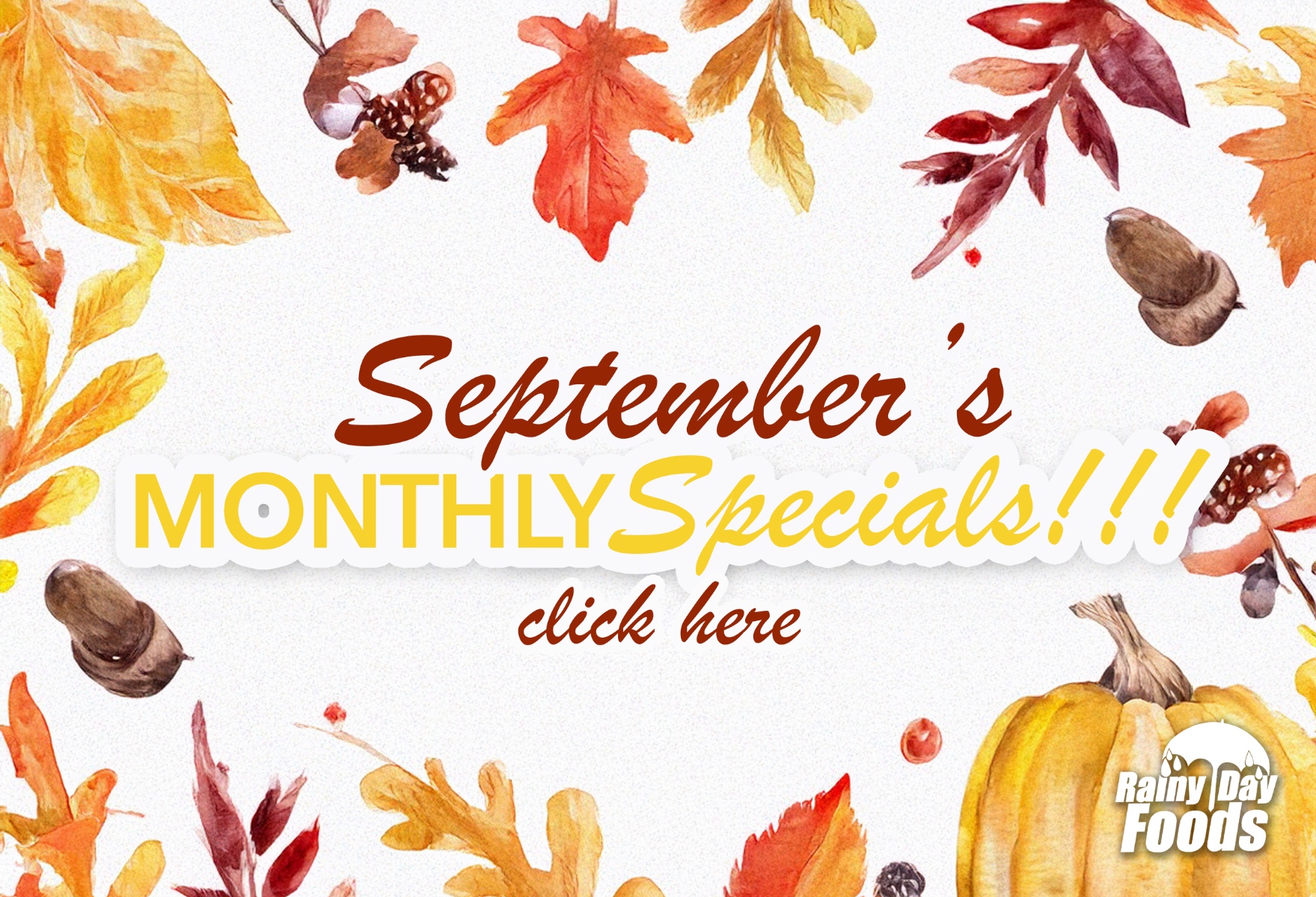 https://rainydayfoods.com/monthly-specials.html