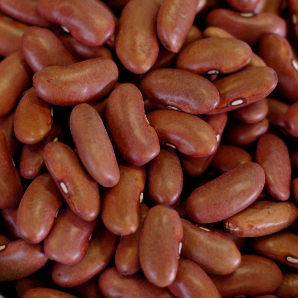 Kidney Beans - A116 - 50 lb. bag