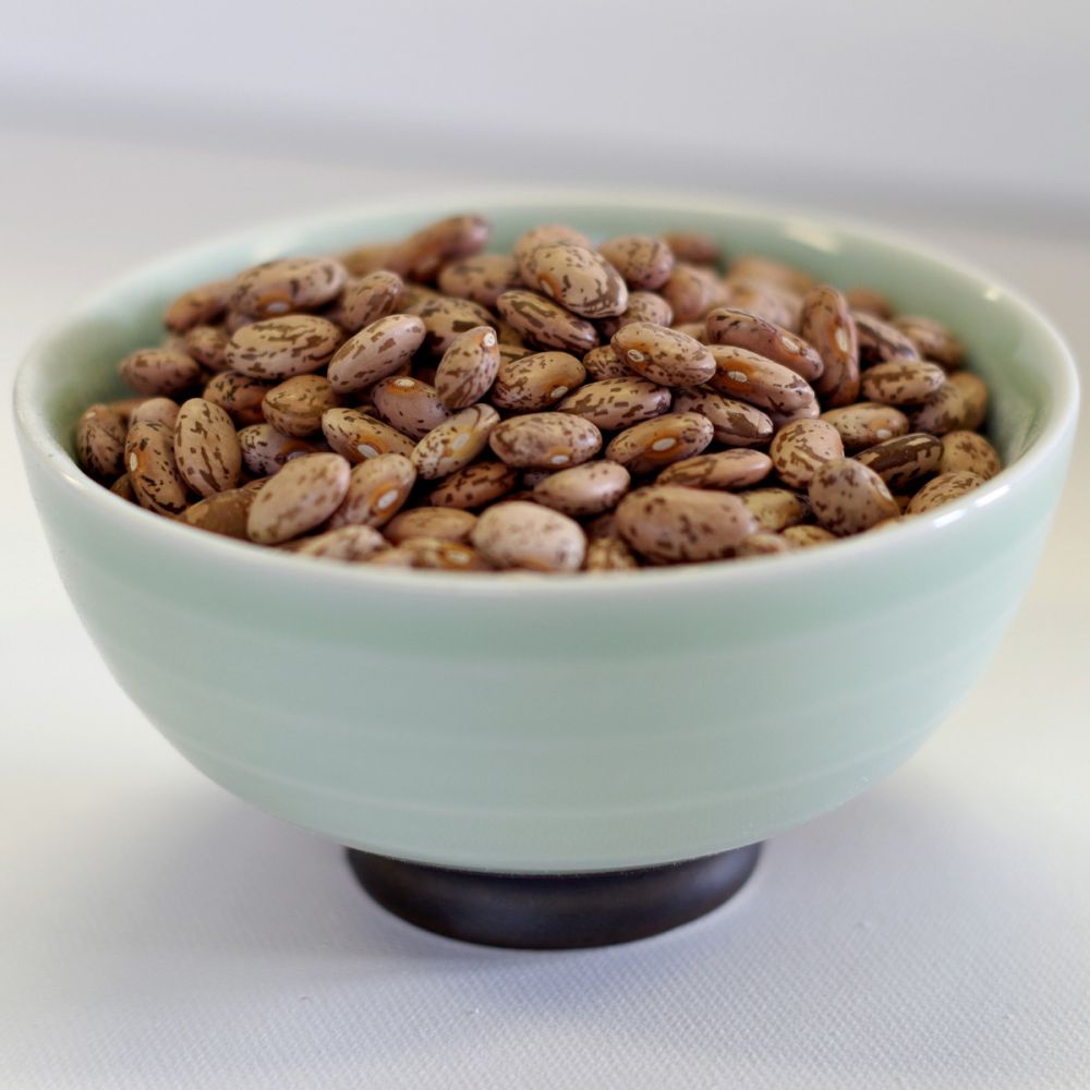 Rainy Day Foods Gluten-Free Kidney Beans 50 lbs Bag - 247 Servings - (SHIPS  IN 5-10 WEEKS)