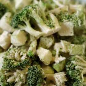 Rainy Day Foods freeze dried broccoli