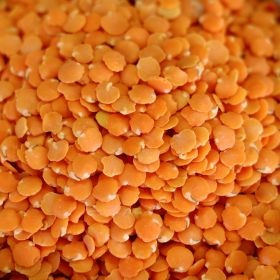 Rainy Day Foods red lentils